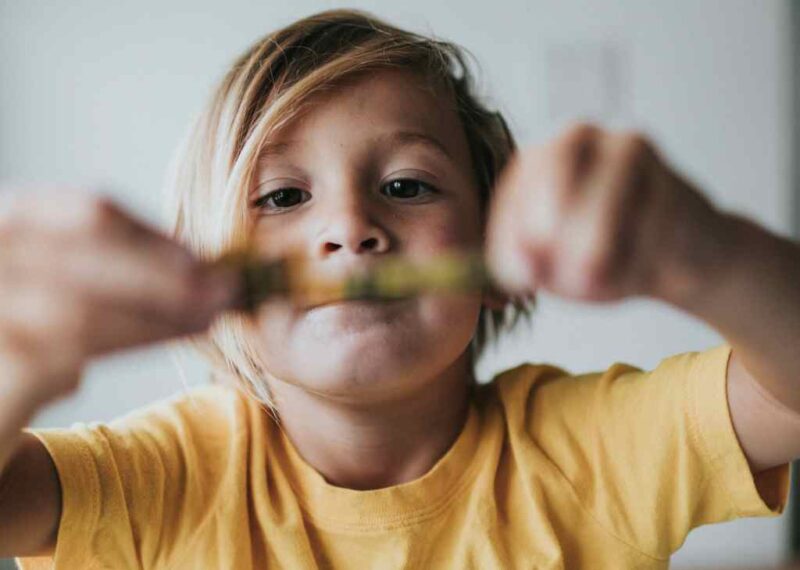 어린이 비타민 추천