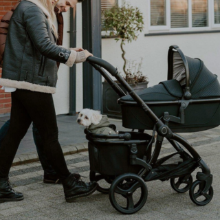 애개 육아 유모차